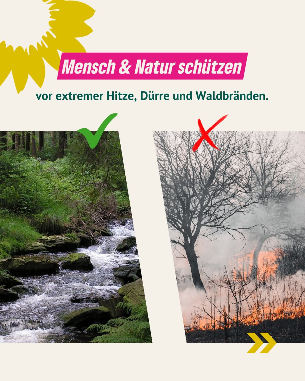 Am Dienstag hatte ich gemeinsam mit Julia Verlinden und Christian Meyer eine Veranstaltung in Bardowick zur Klimakrise. ...