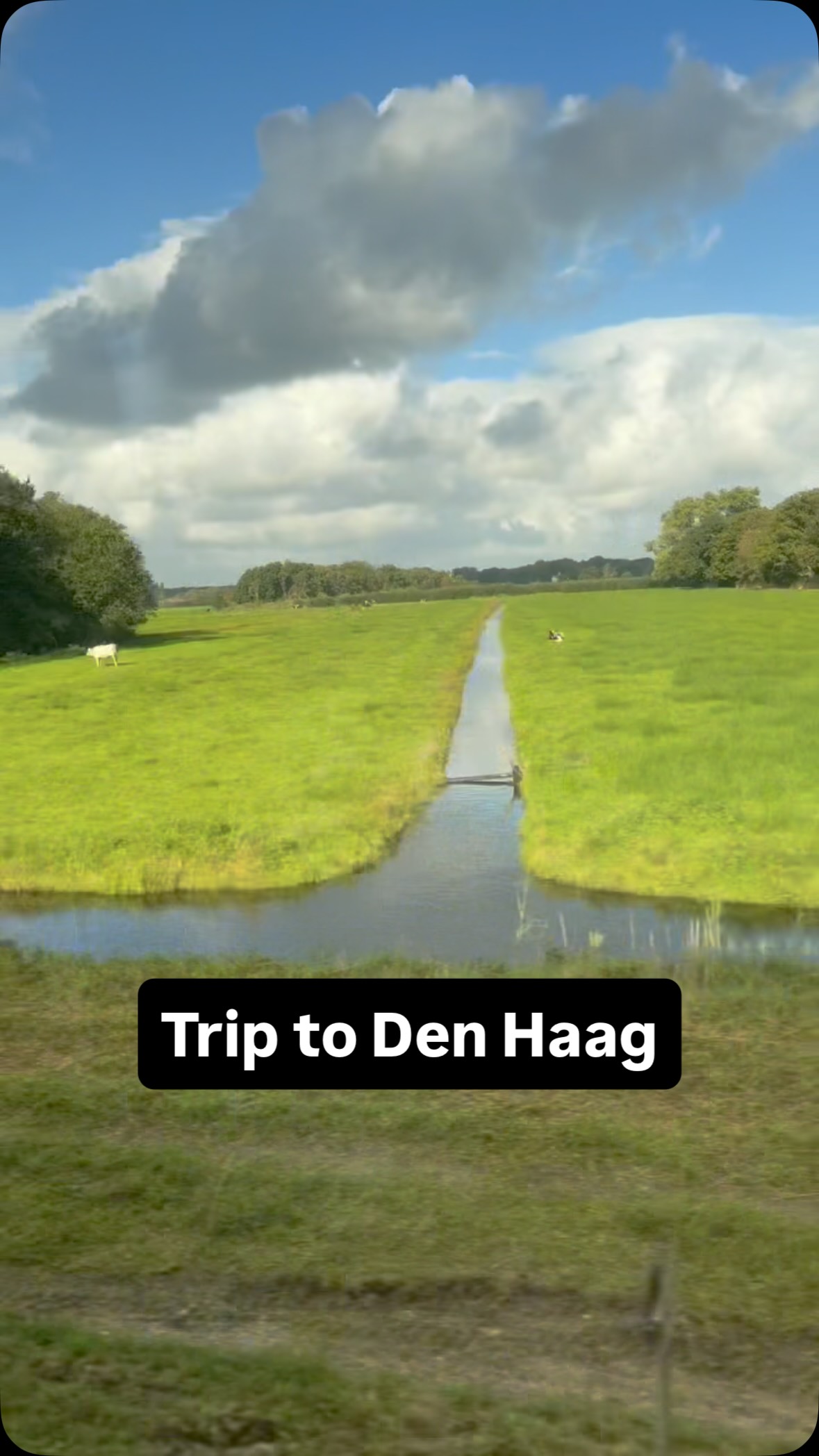 Eine kleine Reise von Amsterdam nach Den Haag. Dort war ich auch im Friedenspalast. #denhaag #amsterdam #friedenspalast
