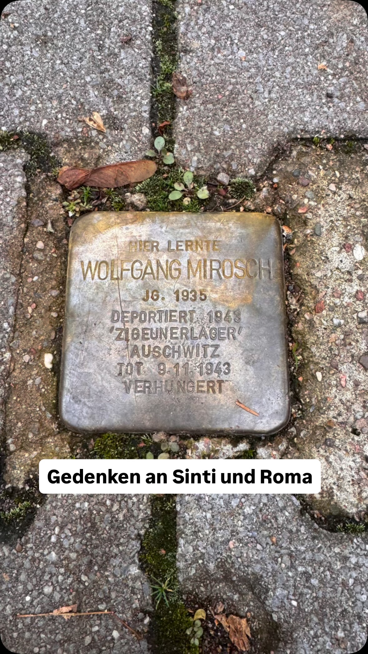 Erinnerung an die Verfolgung unter dem NS-Regime Unter der nationalsozialistischen Herrschaft wurden zahlreiche Menschen...